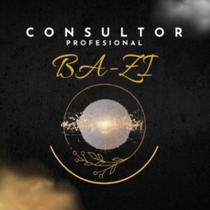 Consultor Profesional BaZi - Cuotas