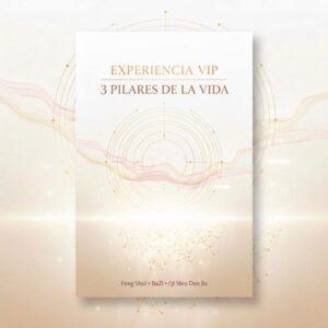 3 Pilares de la Vida - VIP